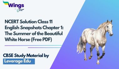 NCERT-Solutions-Class-11-English-Snapshots-Chapter-1-The-Summer-of-the-Beautiful-White-Horse