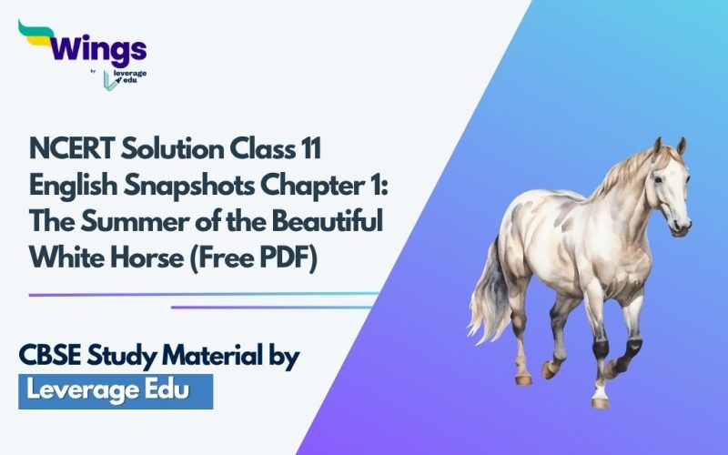 NCERT-Solutions-Class-11-English-Snapshots-Chapter-1-The-Summer-of-the-Beautiful-White-Horse