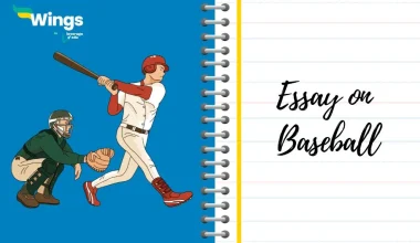 Essay on Baseball