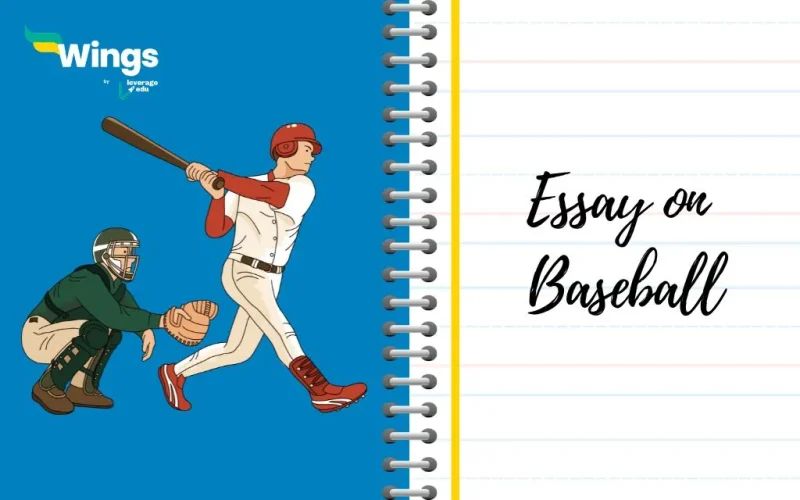 Essay on Baseball
