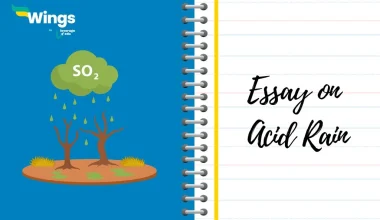 Essay on Acid Rain