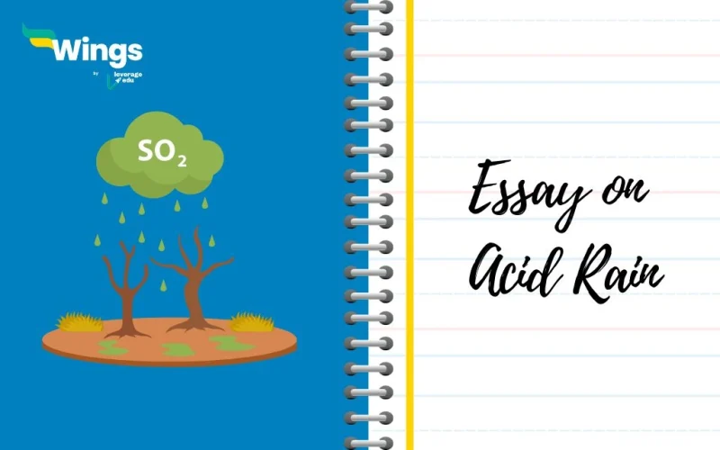Essay on Acid Rain