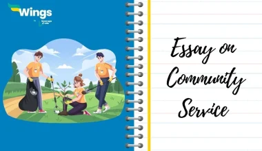 Essay on Community Service
