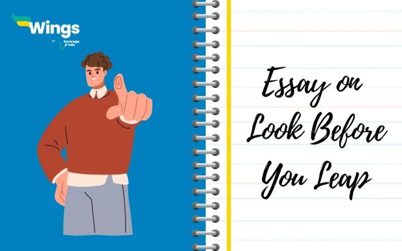 Essay on Look Before You Leap