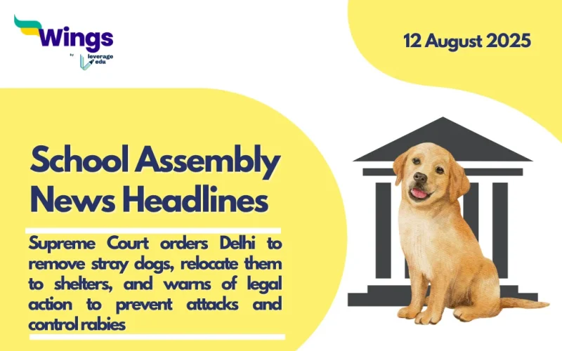 school assembly news headlines 12 august 2025