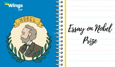 Essay on Nobel Prize