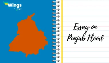 Essay on Punjab Flood