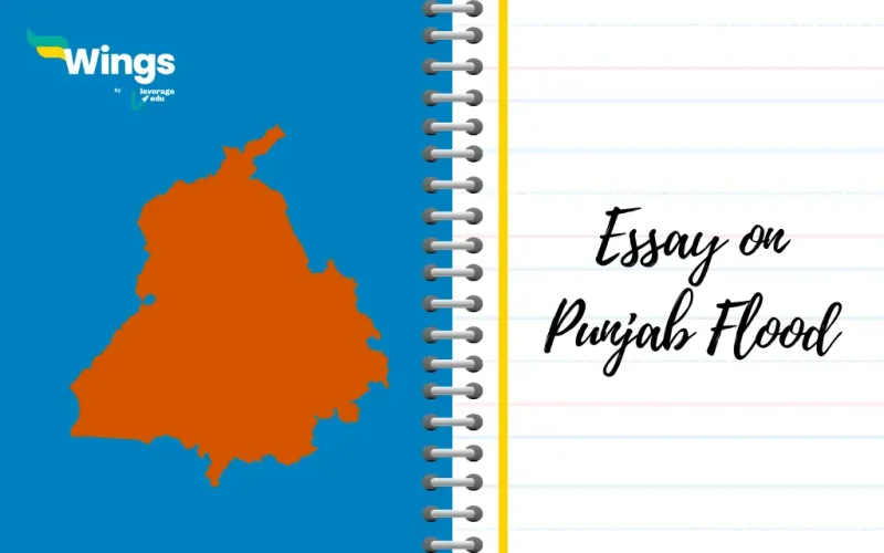 Essay on Punjab Flood