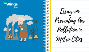 Essay on Preventing Air Pollution in Metro Cities