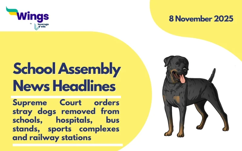 School Assembly News Headlines 8 November 2025