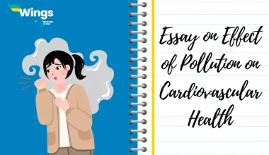 Essay on Effect of Pollution on Cardiovascular Health