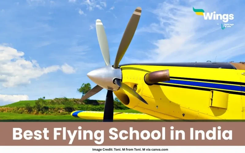 Best Flying School in India