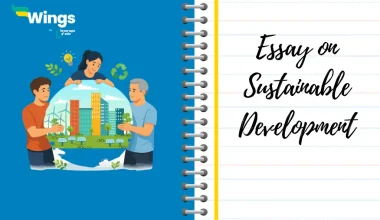Essay on Sustainable Development