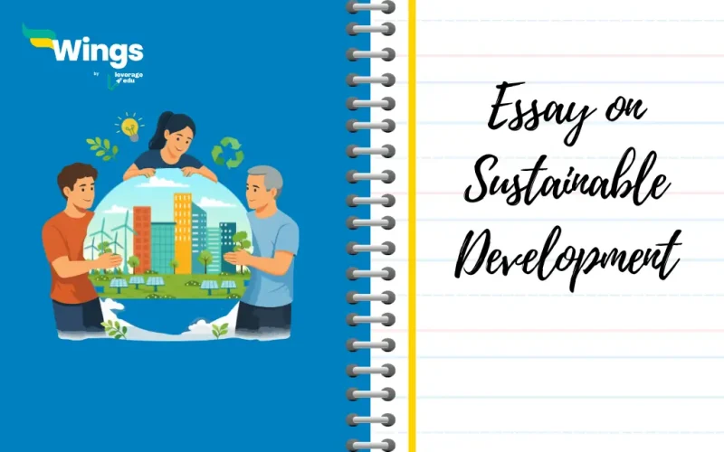 Essay on Sustainable Development