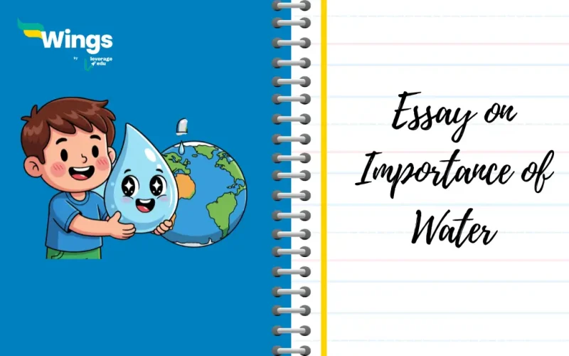 Essay on Importance of Water