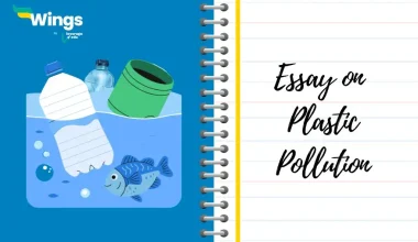 Essay on Plastic Pollution
