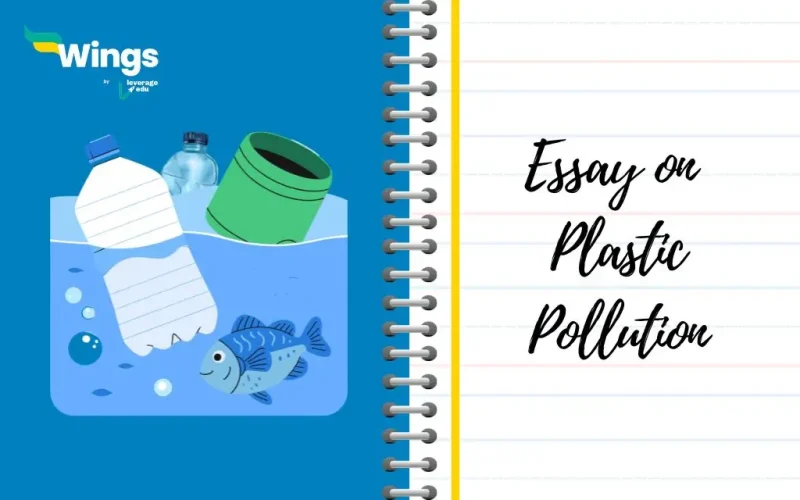Essay on Plastic Pollution