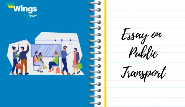 Essay on Public Transport